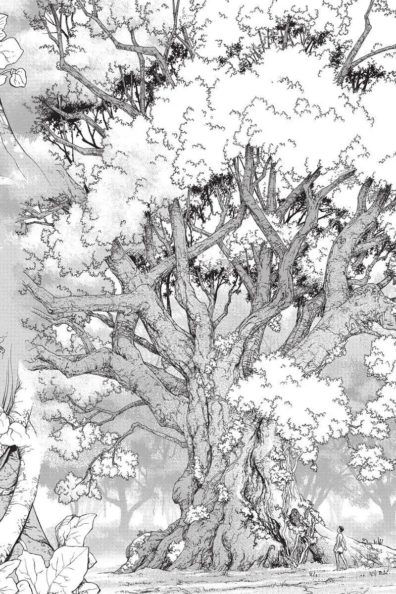 Chapter 1 image 38