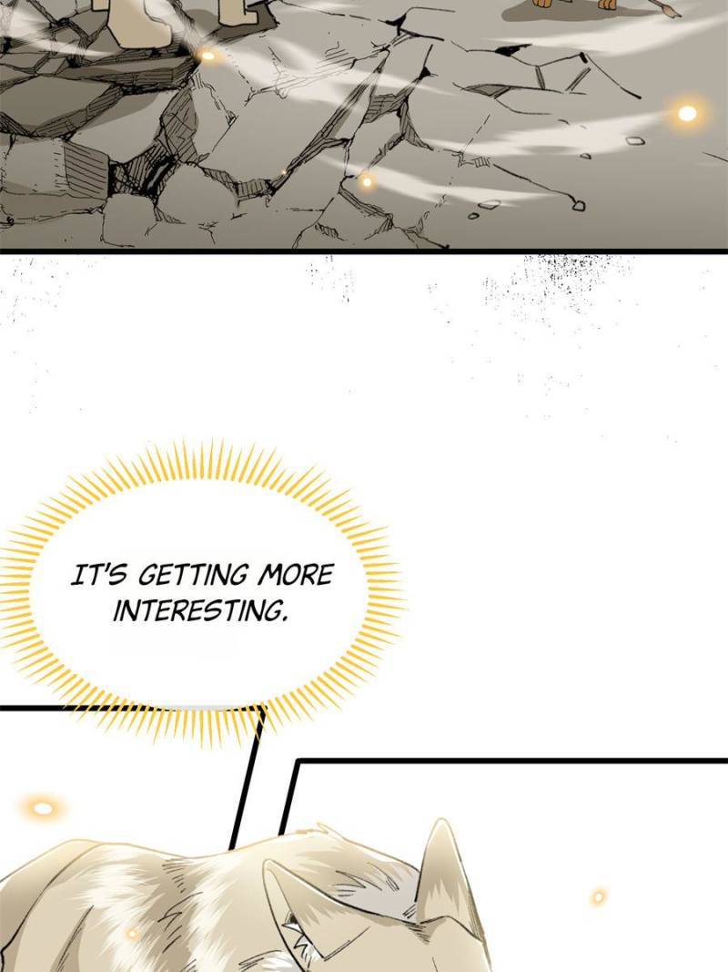 81494773 800 1067 66598